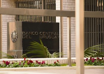 Expertos reclaman que el Banco Central apoye proyectos de ley contra usura