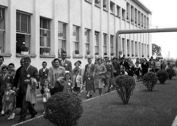 La pandemia de la  empresa nacional