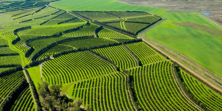 Actividades intensivas y refinanciación