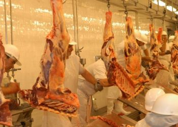 La reapertura del Frigorífico Canelones beneficiará a todo el departamento