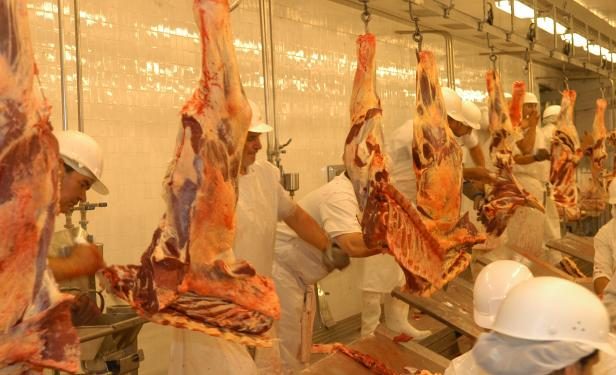 La reapertura del Frigorífico Canelones beneficiará a todo el departamento