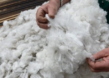 El precio de la lana cerró con subas que lo dejaron próximo a los diez dólares