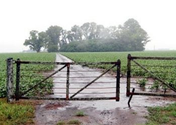 Lluvias: hubo situaciones muy disímiles, a lo largo y ancho de todo el país