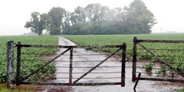 Lluvias: hubo situaciones muy disímiles, a lo largo y ancho de todo el país