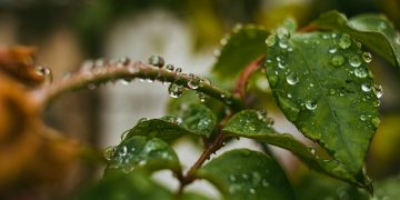 La semana cierra con lluvias en todo el país