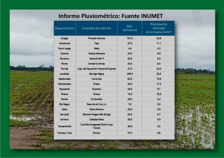 Lluvias: hubo situaciones muy disímiles, a lo largo y ancho de todo el país