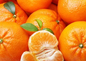 Citricultura y emergencia hídrica