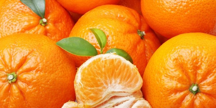 Citricultura y emergencia hídrica