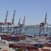 Exportaciones lácteas durante 2020 se incrementaron 6%