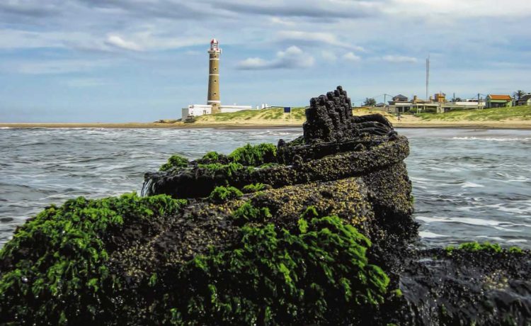 Tras la ruta de los naufragios en aguas oceánicas