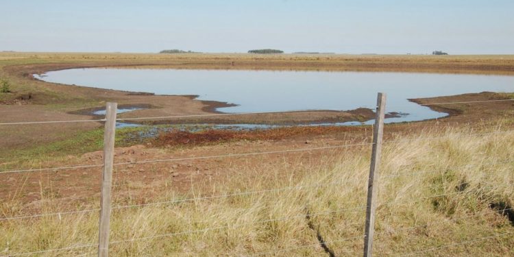 Se amplía la emergencia agropecuaria que abarca casi todo el país e incluye la apicultura