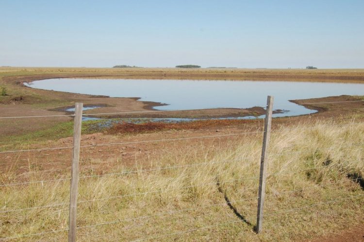 Se amplía la emergencia agropecuaria que abarca casi todo el país e incluye la apicultura
