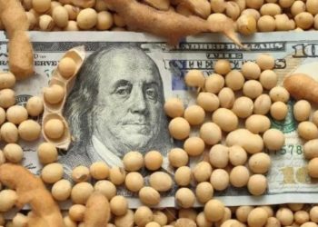 El precio de la Soja llega a U$S 500 la tonelada y se estima que ese valor puede consolidarse