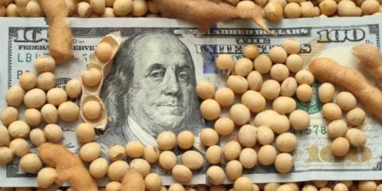 El precio de la Soja llega a U$S 500 la tonelada y se estima que ese valor puede consolidarse