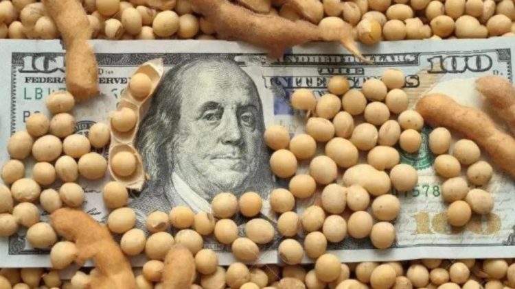 El precio de la Soja llega a U$S 500 la tonelada y se estima que ese valor puede consolidarse