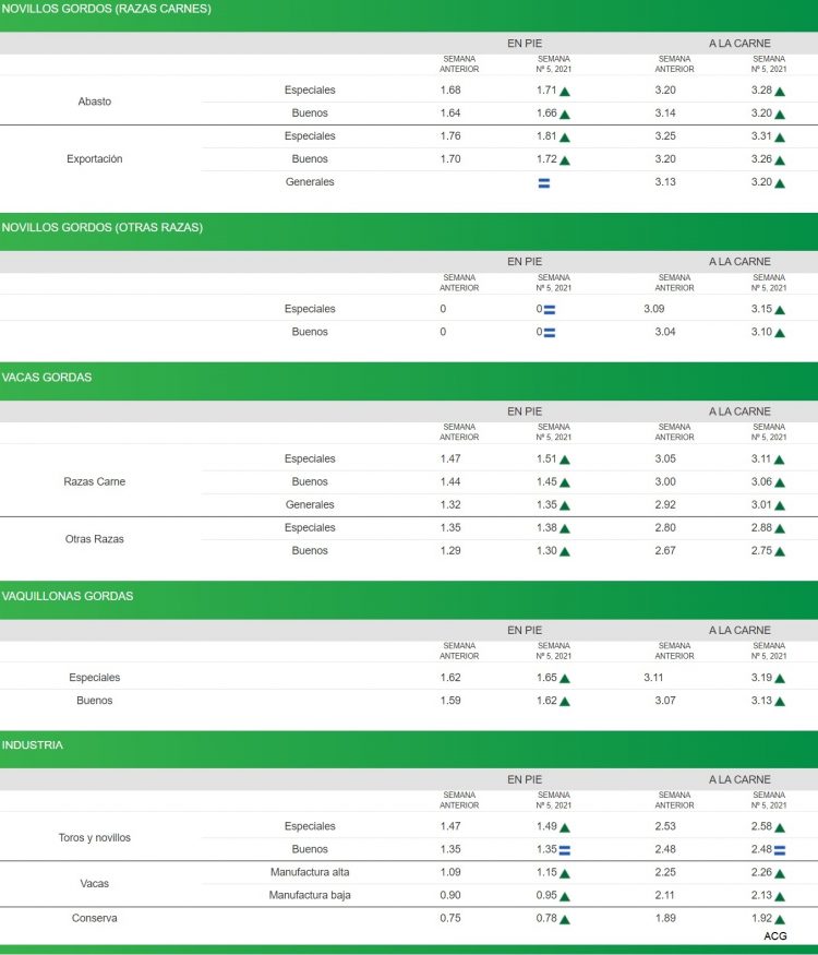 El mercado de haciendas se afirma en todas las categorías