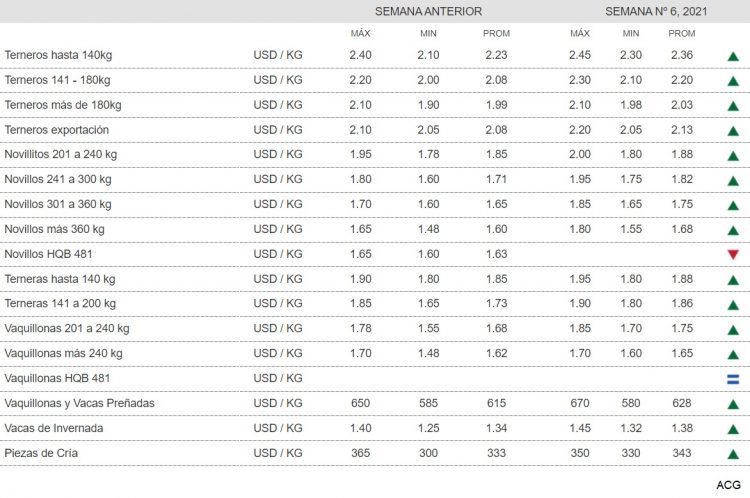 La escasa oferta fortalece los valores del ganado