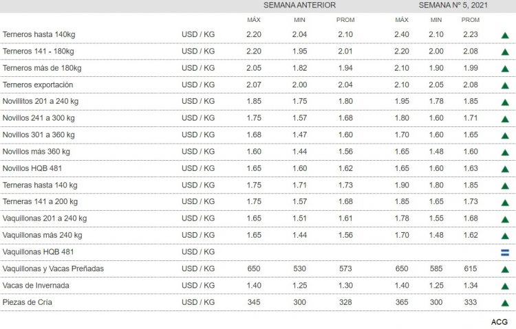 El mercado de haciendas se afirma en todas las categorías