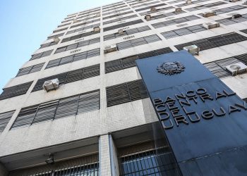 La nueva banca central multipropósito