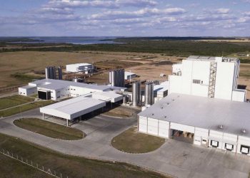 Industría láctea de última tecnología en riesgo por falta de cuenca