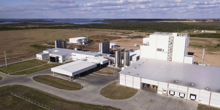 Industría láctea de última tecnología en riesgo por falta de cuenca
