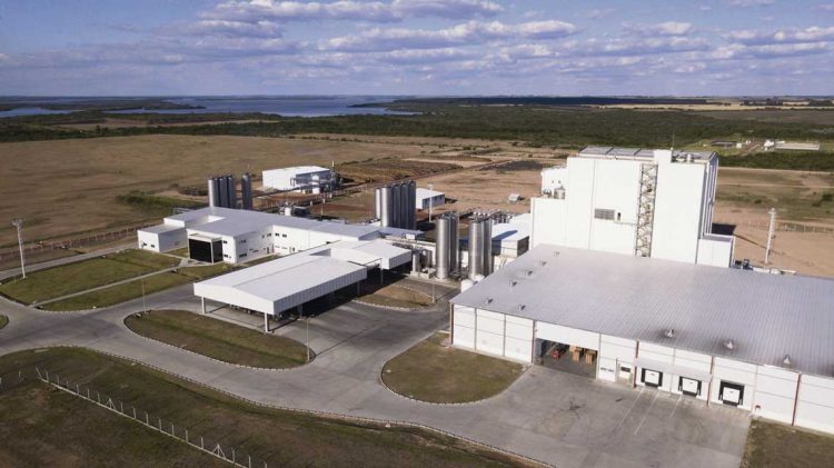 Industría láctea de última tecnología en riesgo por falta de cuenca