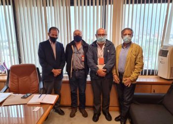 Cámara avícola busca incrementar la producción, el consumo y la exportación de aves