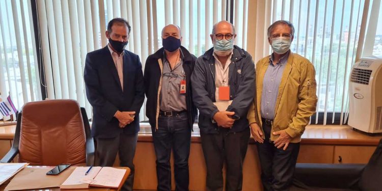 Cámara avícola busca incrementar la producción, el consumo y la exportación de aves