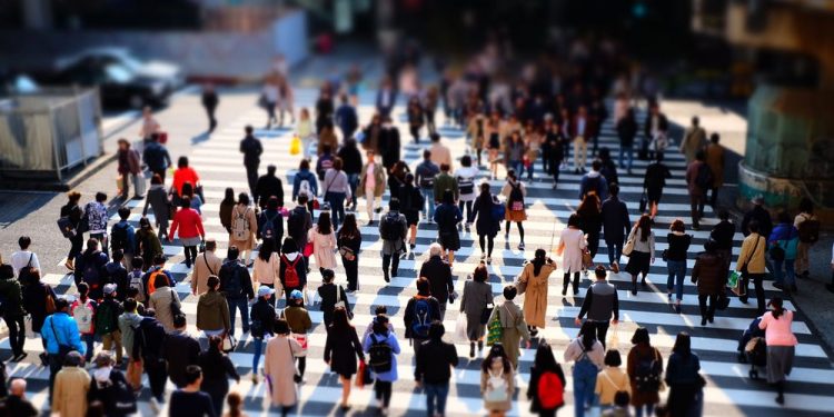 La obediencia y los límites en la cultura actual