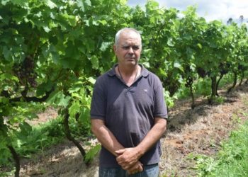 El futuro de la granja está en la exportación