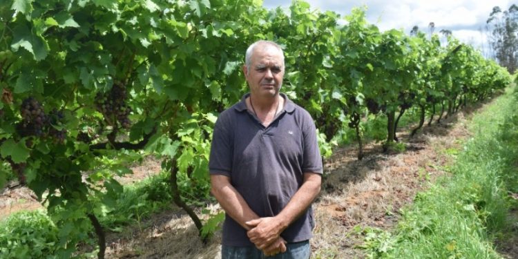 El futuro de la granja está en la exportación