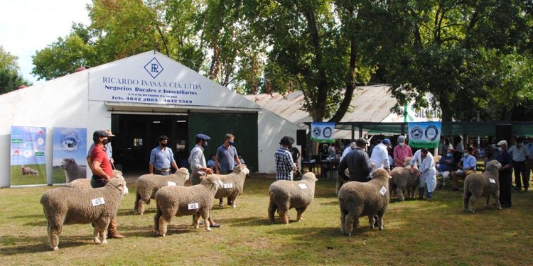 Con buena concurrencia se llevó a cabo la Expo Ovina de Melo