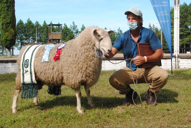Con buena concurrencia se llevó a cabo la  Expo Ovina de Melo