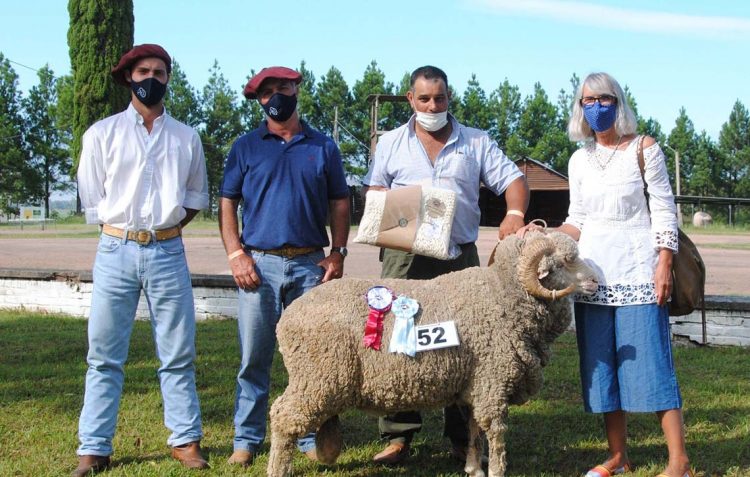 Con importante número de animales y razas participantes, los ovinos brillaron en la Expo Ovina