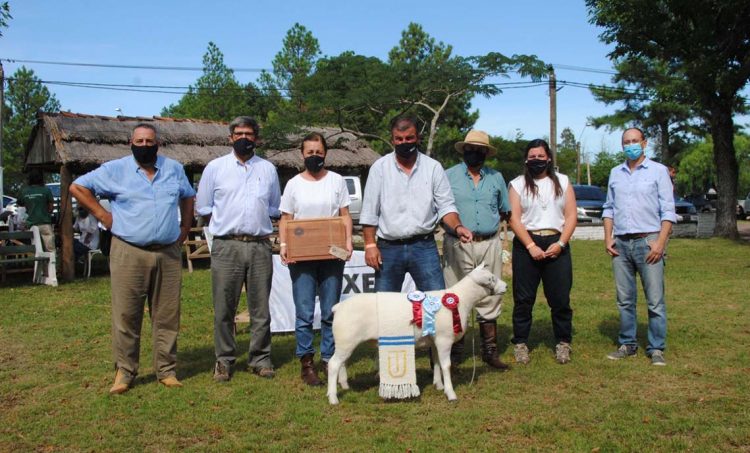 Con buena concurrencia se llevó a cabo la  Expo Ovina de Melo