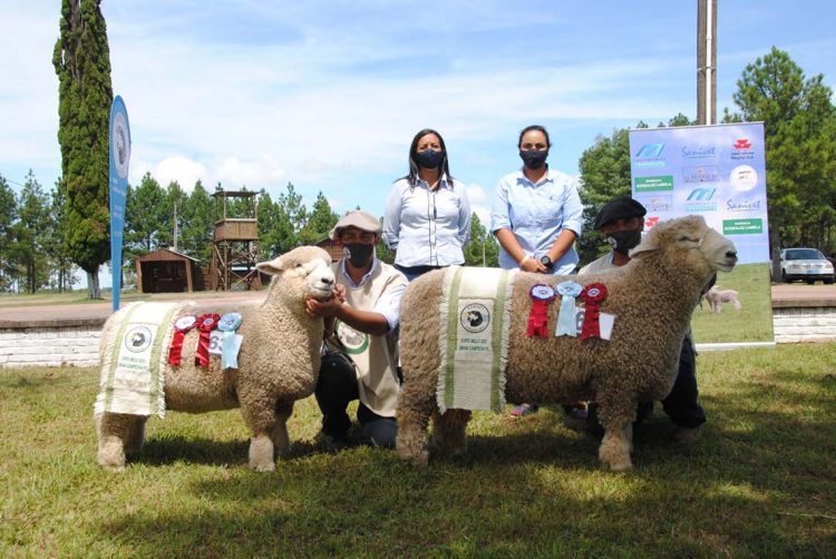 Con buena concurrencia se llevó a cabo la  Expo Ovina de Melo