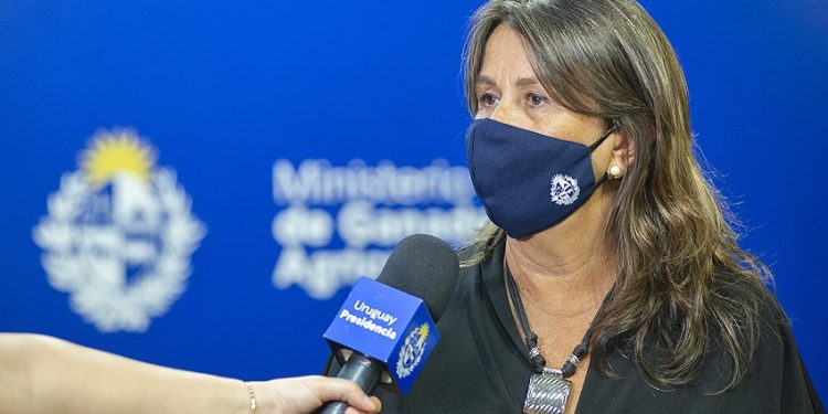 MGAP ejecutará $ 20 millones a través de las intendencias para mejorar el acceso de productores familiares al agua