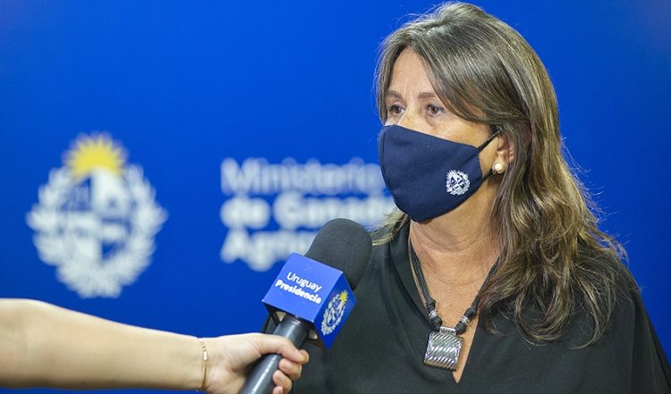 MGAP ejecutará $ 20 millones a través de las intendencias para mejorar el acceso de productores familiares al agua