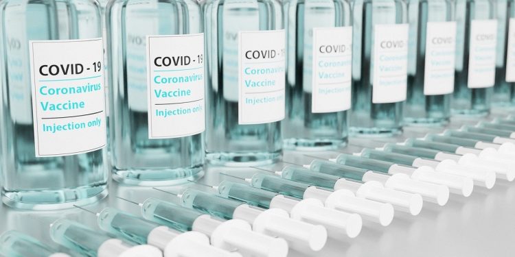 Uruguay avanza en la cadena logística que pondrá en marcha cuando lleguen las primeras vacunas contra el coronavirus