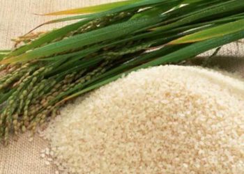 Entre abril y mayo Uruguay enviará 60.000 toneladas de arroz a Irak