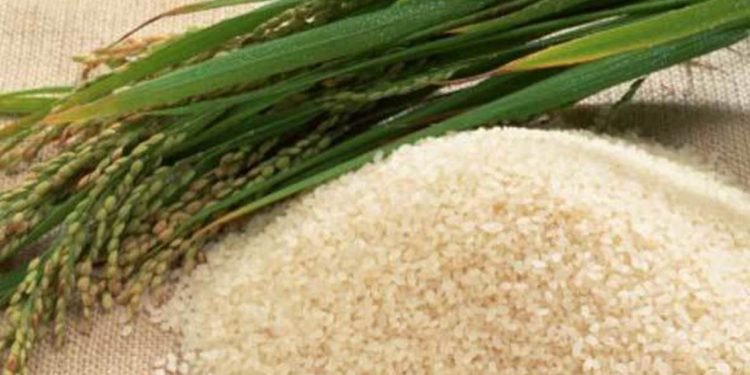 Entre abril y mayo Uruguay enviará 60.000 toneladas de arroz a Irak