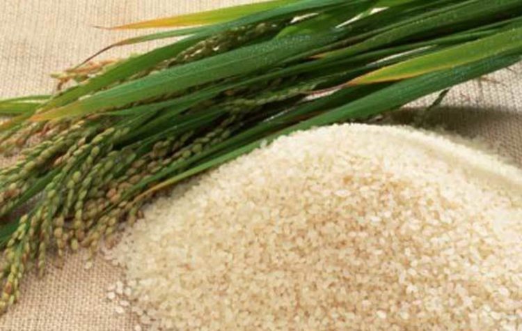 Entre abril y mayo Uruguay enviará 60.000 toneladas de arroz a Irak