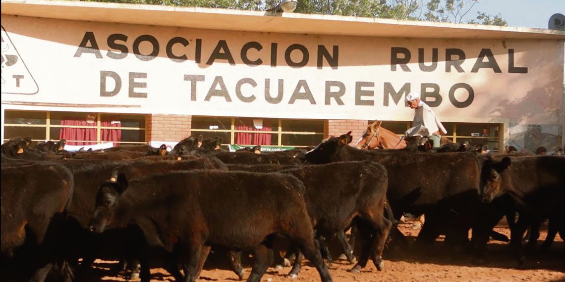 Asociación Rural de Tacuarembó apoya el proyecto forestal de  Cabildo Abierto