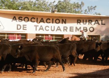 Asociación Rural de Tacuarembó apoya el proyecto forestal de  Cabildo Abierto