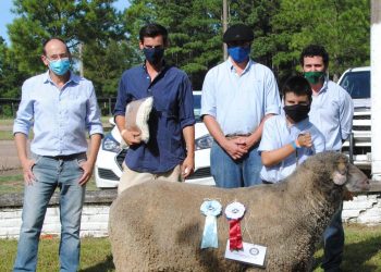 Con importante número de animales y razas participantes, los ovinos brillaron en la Expo Ovina