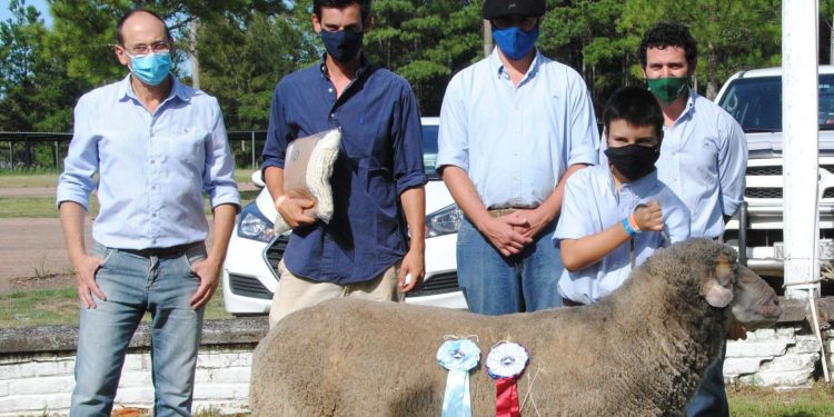 Con importante número de animales y razas participantes, los ovinos brillaron en la Expo Ovina