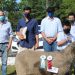 Con importante número de animales y razas participantes, los ovinos brillaron en la Expo Ovina