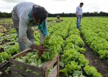 Perú, Colombia y Paraguay impulsan financiamiento a pequeños productores rurales
