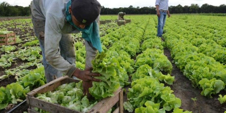 Perú, Colombia y Paraguay impulsan financiamiento a pequeños productores rurales