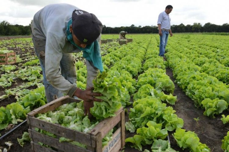 Perú, Colombia y Paraguay impulsan financiamiento a pequeños productores rurales